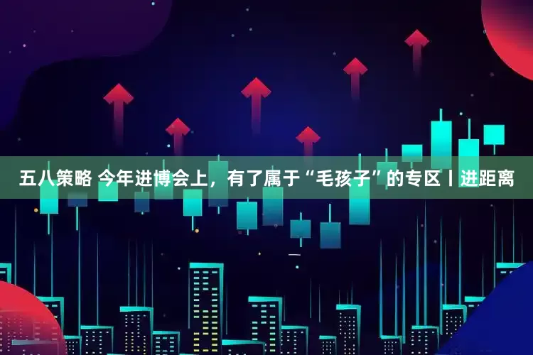 五八策略 今年进博会上，有了属于“毛孩子”的专区丨进距离